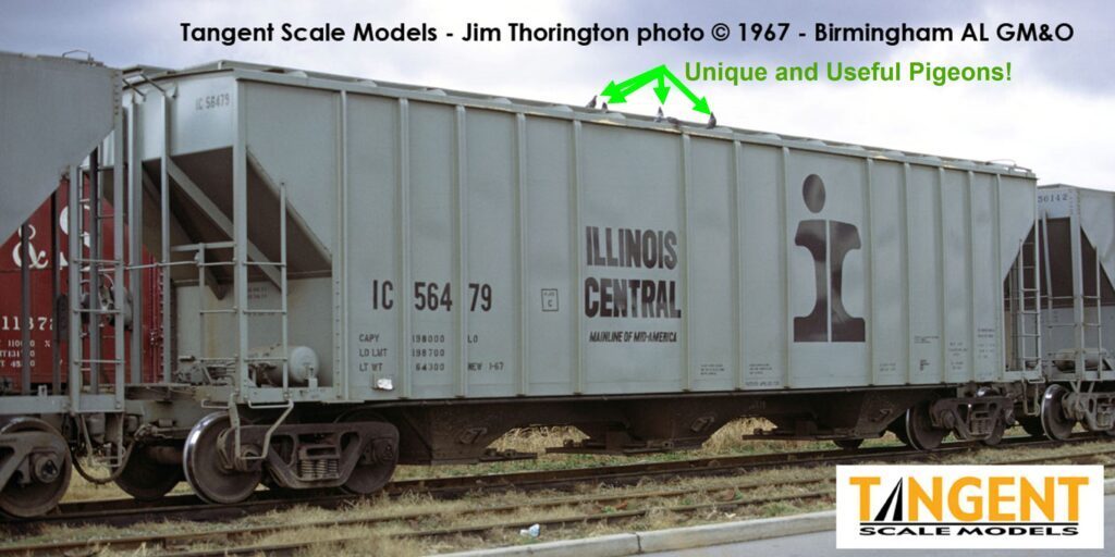 Pigeons 24 pack Tangent Scale Models